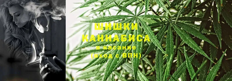 где купить наркотик  мега ТОР  Канабис OG Kush  Десногорск 